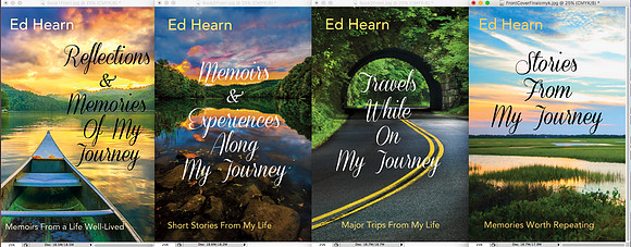 Book Cover Series Design